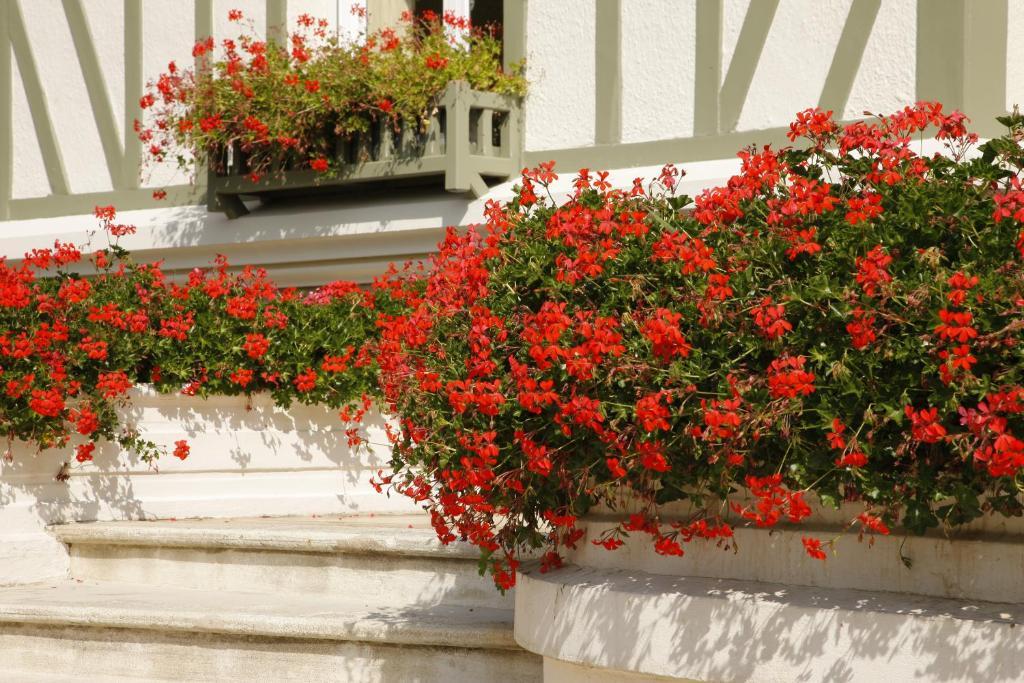 Manoir De Benerville Bed and Breakfast Deauville Buitenkant foto